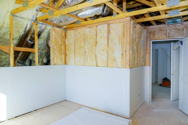 Best DIY Insulation Kits and Guidance in Neshanic Station, NJ
