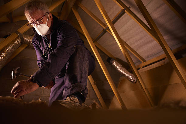 Best Residential Insulation in Neshanic Station, NJ